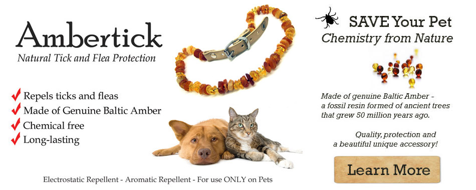 Tick and Flea Treatment, removal, protection for Dogs and Cats